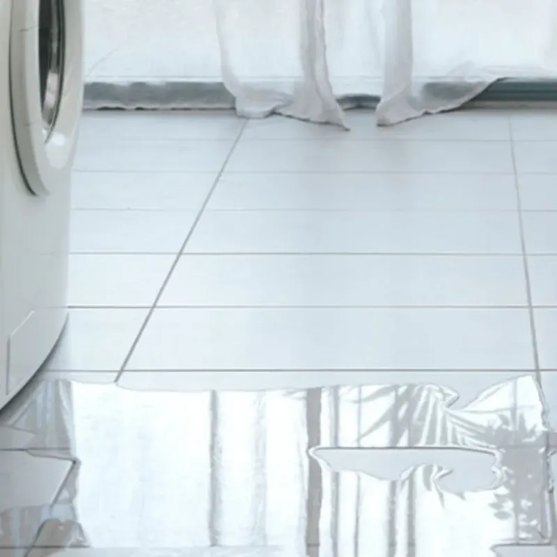 Appliance Leak Cleanup in Auburndale, FL