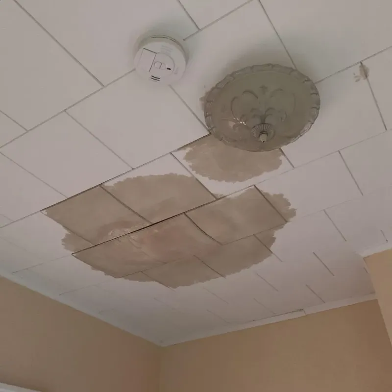 Ceiling Water Damage Repair in Auburndale, FL